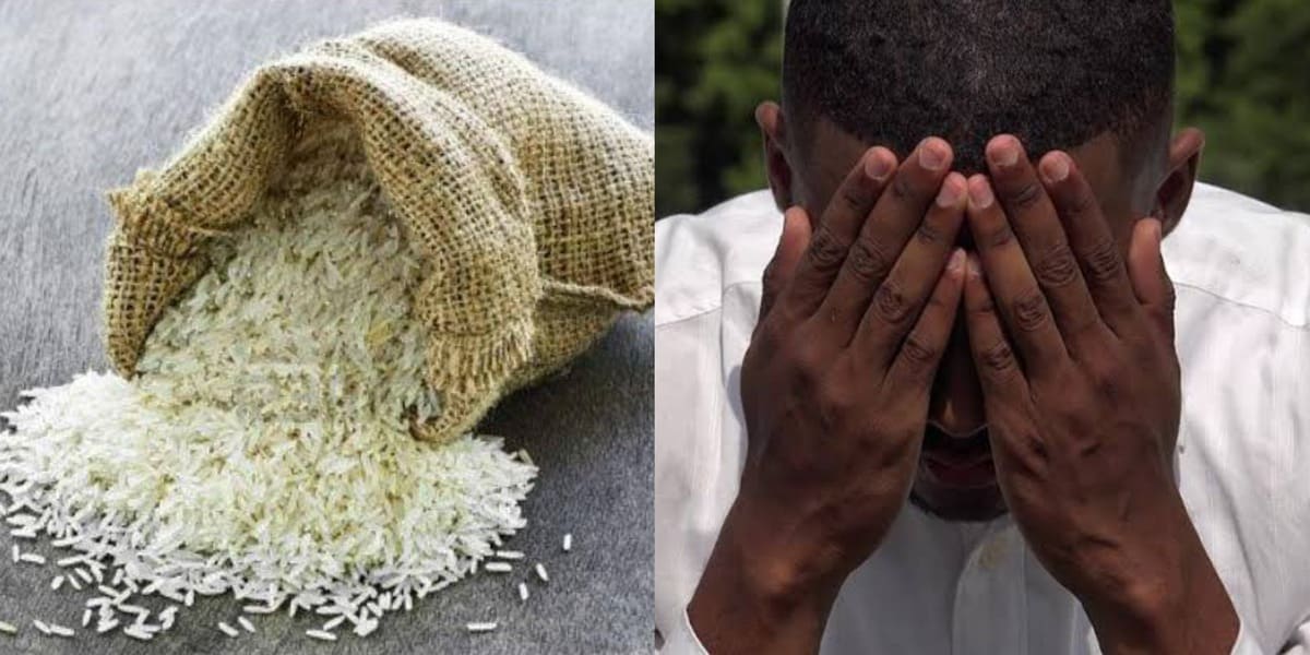 "Trust your babe or count rice" - Man refuses to trust his girlfriend, counts grains of rice from 1 to over 960 million