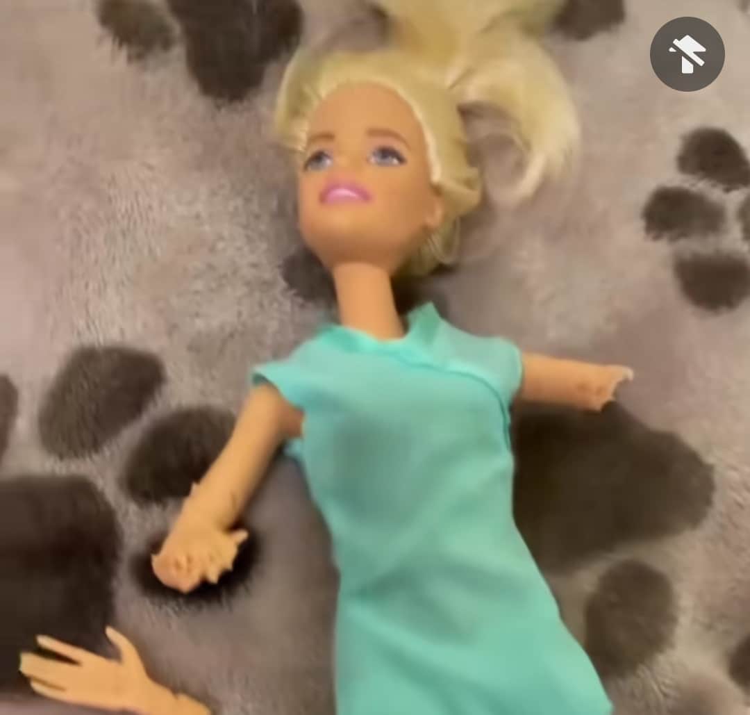 "You're a monster" - Heartbroken girl generates buzz, hurls insults at family dog as it dismembers her cute Barbie doll