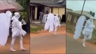 "Hunger don wound am, e no fit fly again" - Speculations as 'angel' is spotted in Nigeria