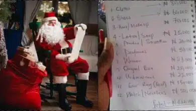 Lady causes a buzz as she makes a list budgeting N422K for Christmas