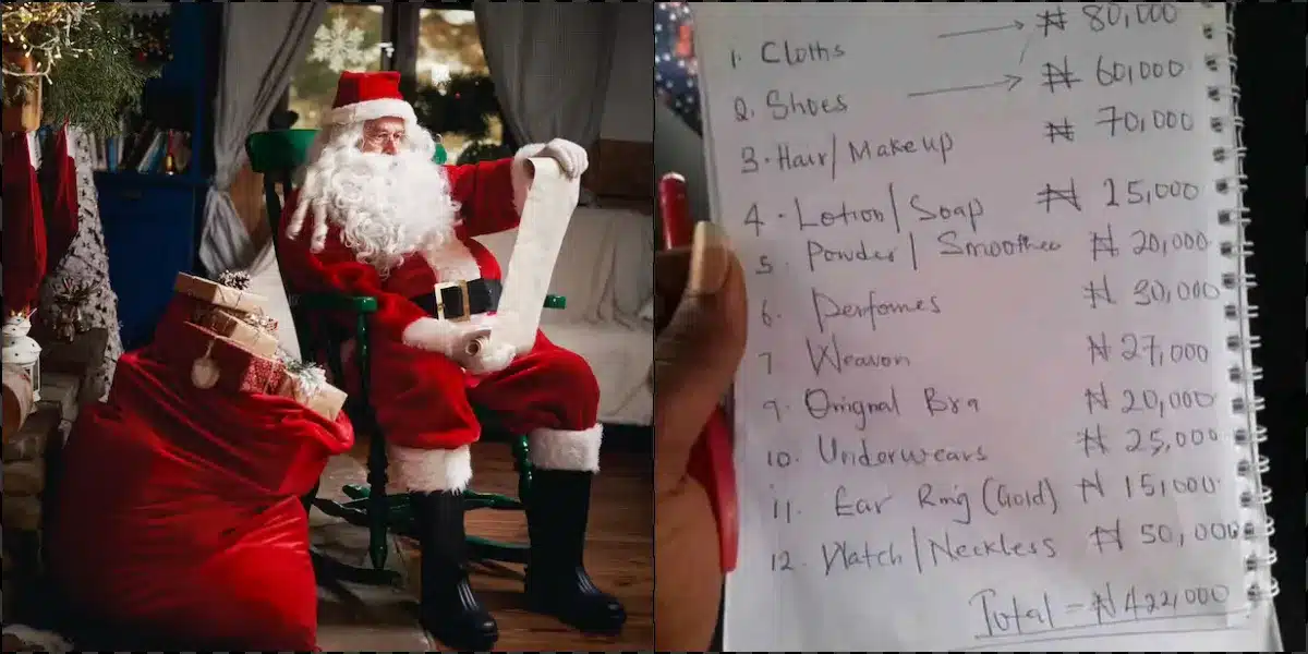 Lady causes a buzz as she makes a list budgeting N422K for Christmas