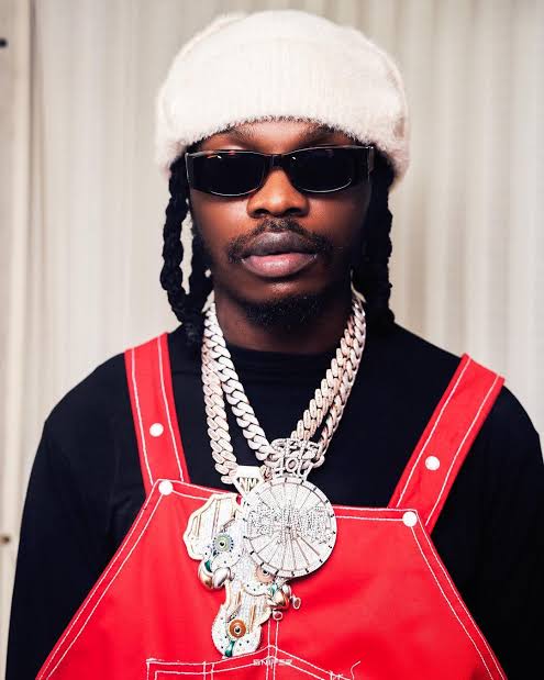 Naira Marley Iyabo Ojo sues N500M