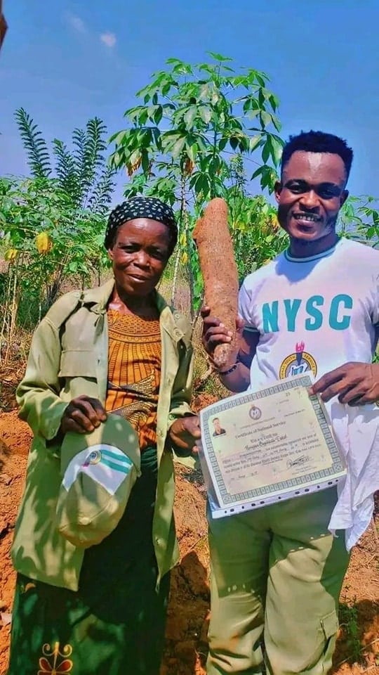 widow nysc certificate education