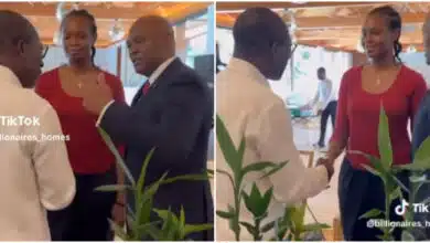 "No 'poor man pikin' greetings" - Video shows Tony Elumelu introducing his second daughter to the President of Benin