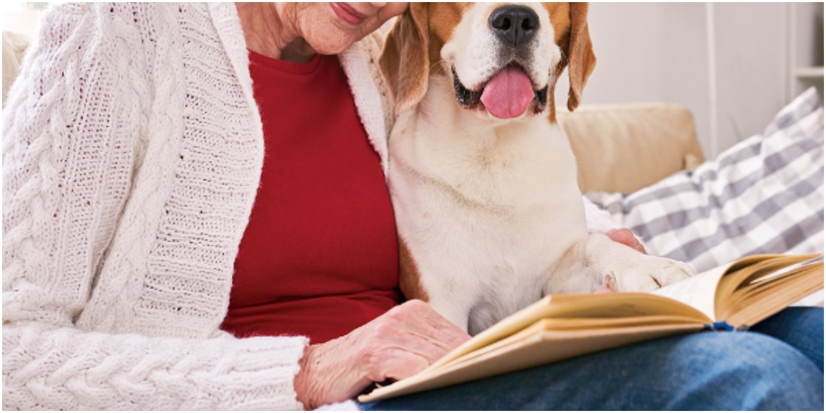 Elderly mum leaves .8m inheritance to pets, cuts children from her will after they didn't visit when she was sick