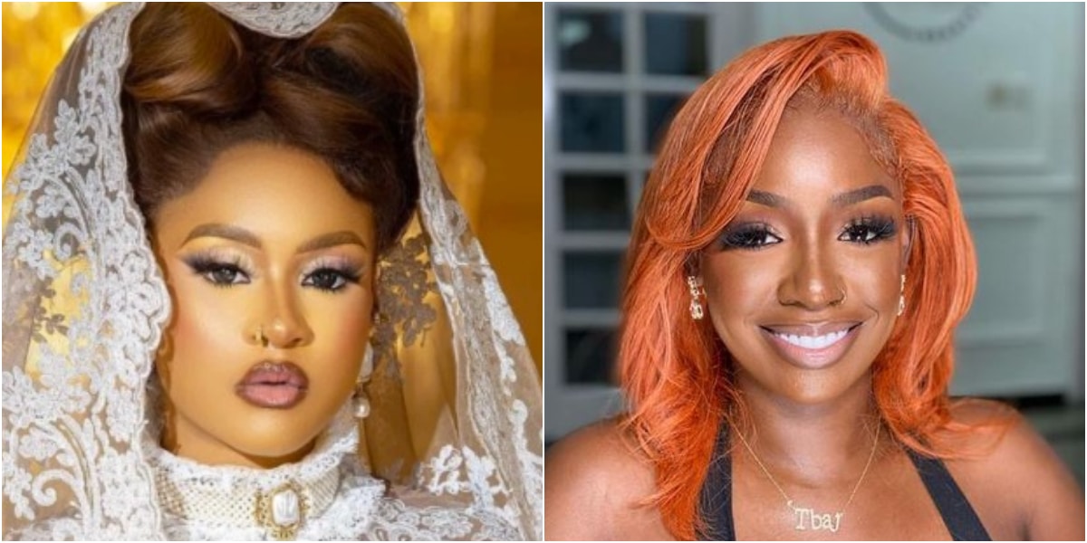 "Can't you say you have business ideas" - Phyna drags Tolanibaj for saying she bring genitals to the table