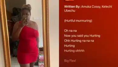 Lady painfully recalls ex-boyfriend who used her crying voice note as intro for his song