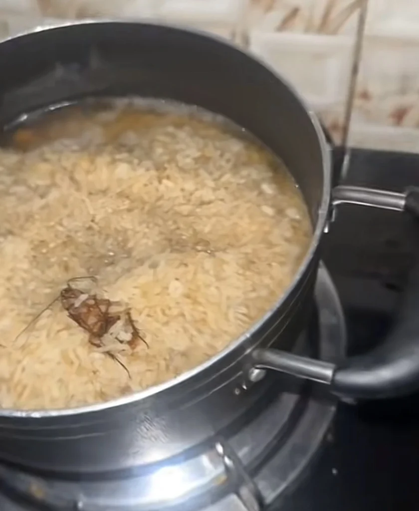 “As meat no dey God send manna from above” — Reactions as man finds cockroach in his sizzling pot of rice
