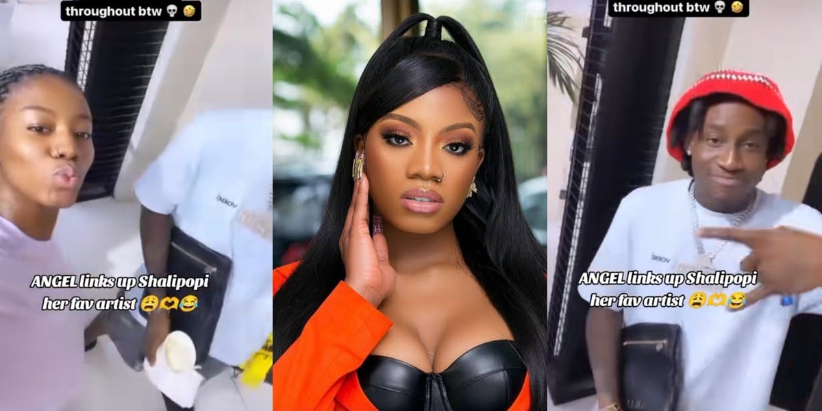 "The biggest Plutonian" - Angel raises eyebrows as she links up with Shallipopi