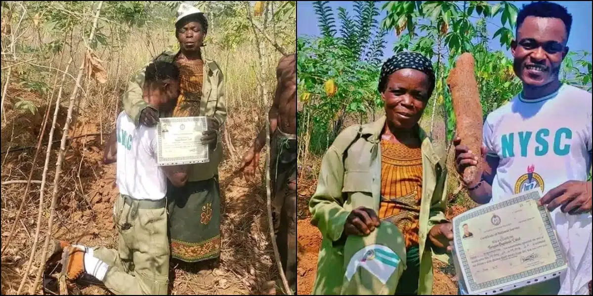 widow nysc certificate