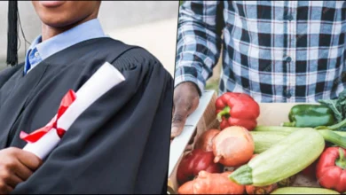 lecturer phd master's hawking vegetables