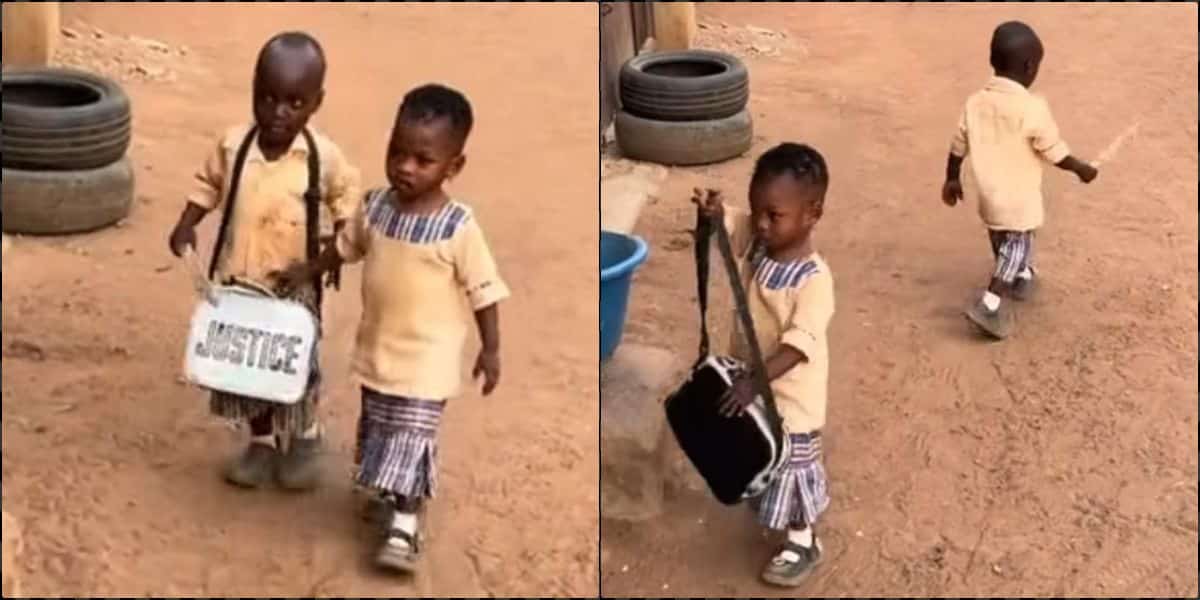 "Such a gentleman" - Little boy praised as he walks home a girl, carries her bag