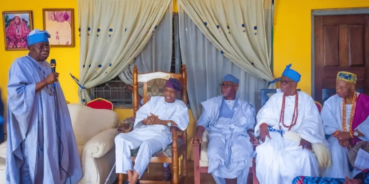 “Nigeria will survive, there’s light at the end of the tunnel ” — Tinubu assures