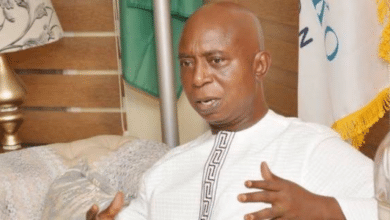 Why Nigerians should be allowed to bear arms for self-defence — Ned Nwoko