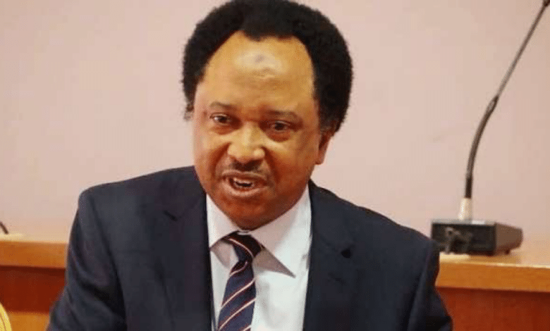 “You’ll see miracle if you pray and fast for Naira” – Shehu Sani tells Muslims, Christians