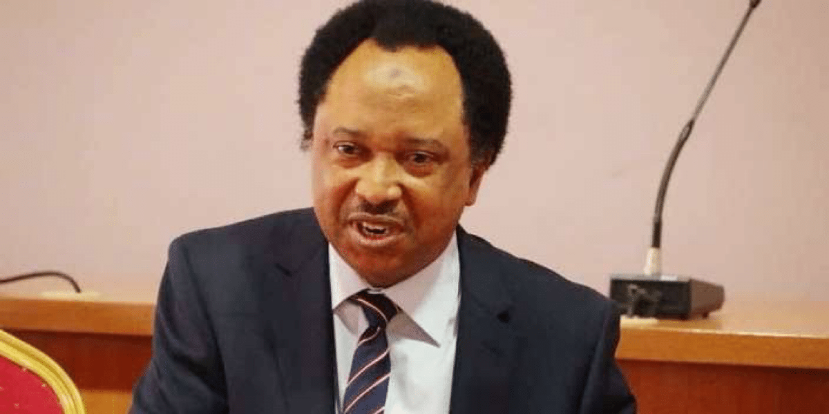 “You’ll see miracle if you pray and fast for Naira” – Shehu Sani tells Muslims, Christians