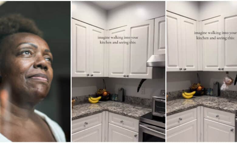 "Imagine walking into your kitchen and seeing this" - Woman captures cat stealing bread from cabinet