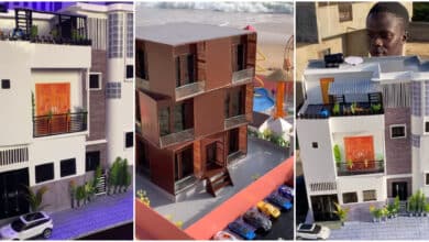 "Unbelievable talent" - Young boy stuns many as he builds hotel and mansion prototypes from cardboard