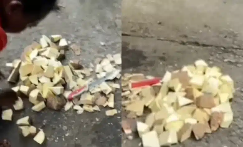 “Let us learn cleanliness” — Lady shouts up a storm as she corrects roadside food vendor for unhealthy cooking habits