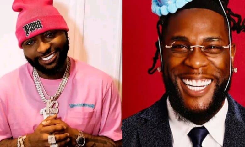 "Burna Boy should address Davido as God" - Hardcore fan kicks, reveals who brought Afrobeat to Nigeria