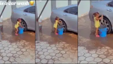 girl 2-year-old washes mom's car