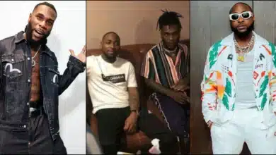 davido burna boy shade