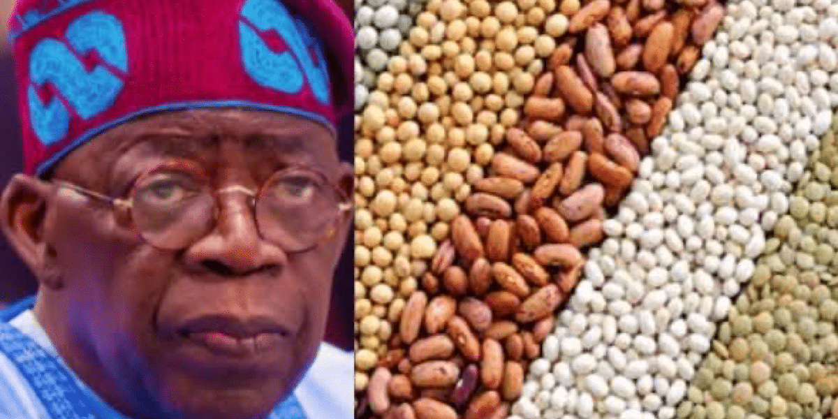 FG begins nationwide distribution of grains to ease Economic Hardship