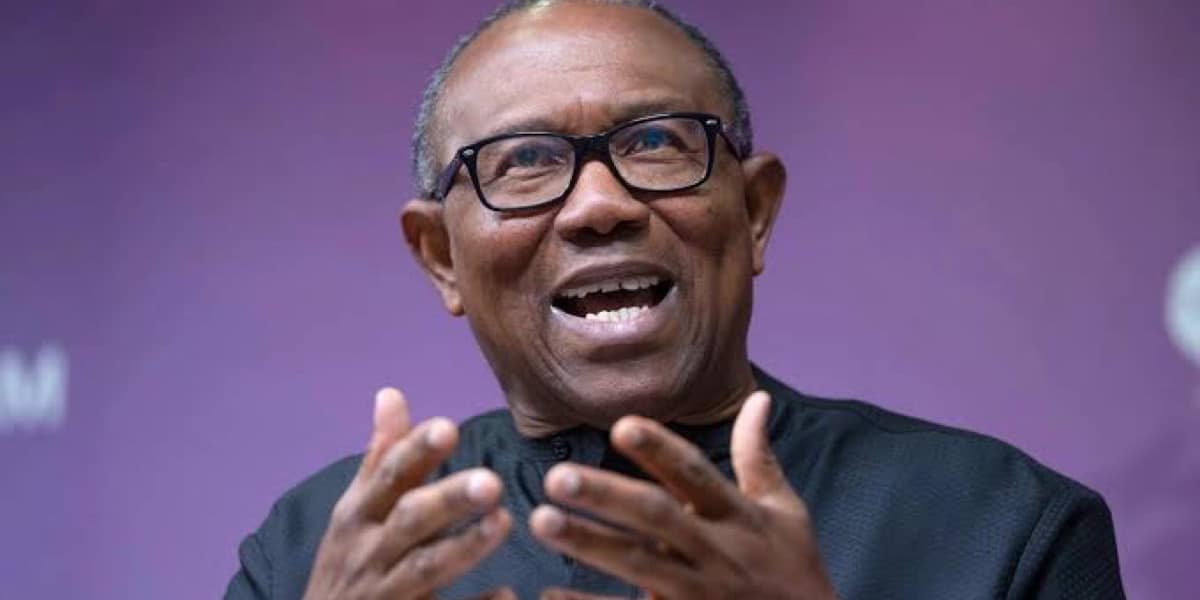 Peter Obi explains his absenteeism at Labour Party’s national convention