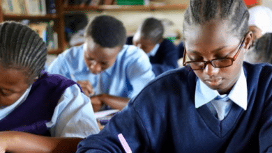Nigerian Govt moves to ensure all citizens are well educated
