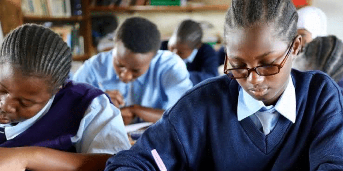 Nigerian Govt moves to ensure all citizens are well educated