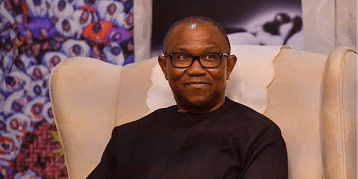 “How greedy team member pocketed N60M donated to Peter Obi during 2023 election campaign” — Obidient Supporter reveals