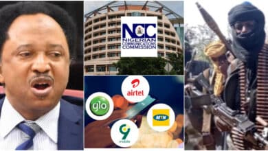 "You quickly block lines used by Nigerians, but struggle with those used by bandits" - Senator Shehu Sani calls out NCC, Telcos