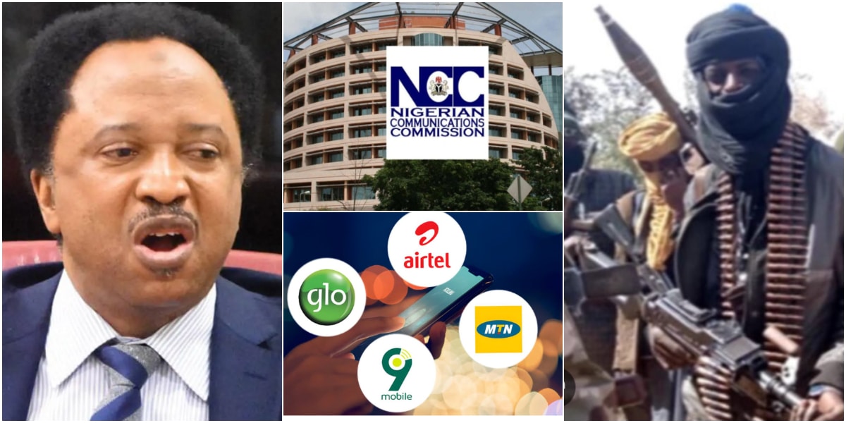 "You quickly block lines used by Nigerians, but struggle with those used by bandits" - Senator Shehu Sani calls out NCC, Telcos