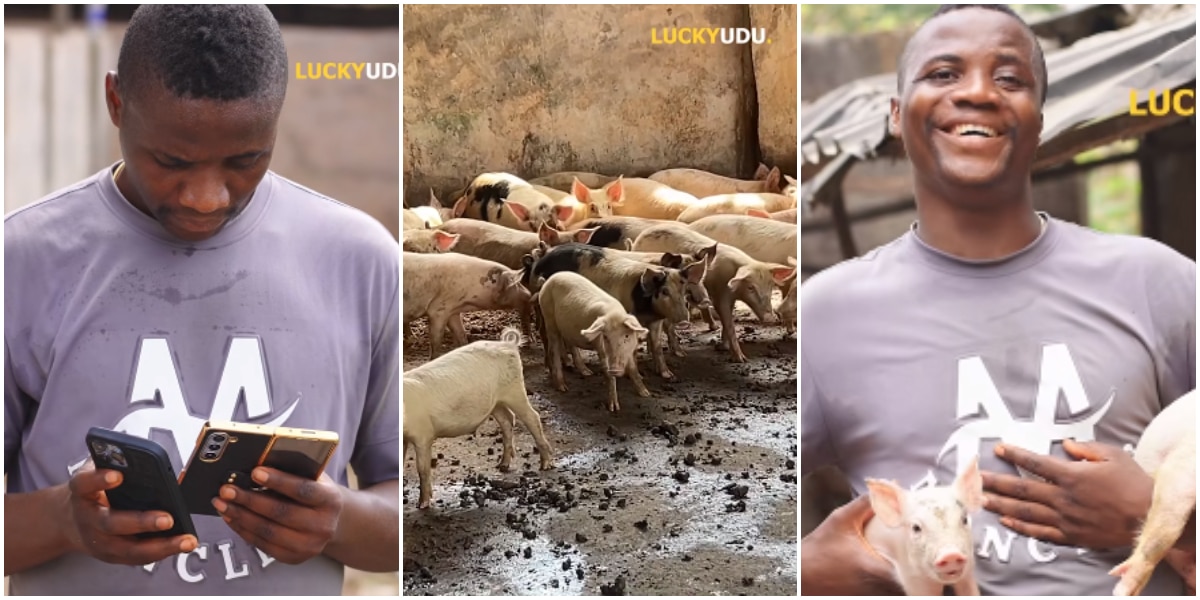 Farmer who started pig business with N270k celebrates making N30 million monthly