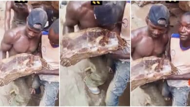 Man shares video of precious stone he found on site while working, allegedly worth $2 million