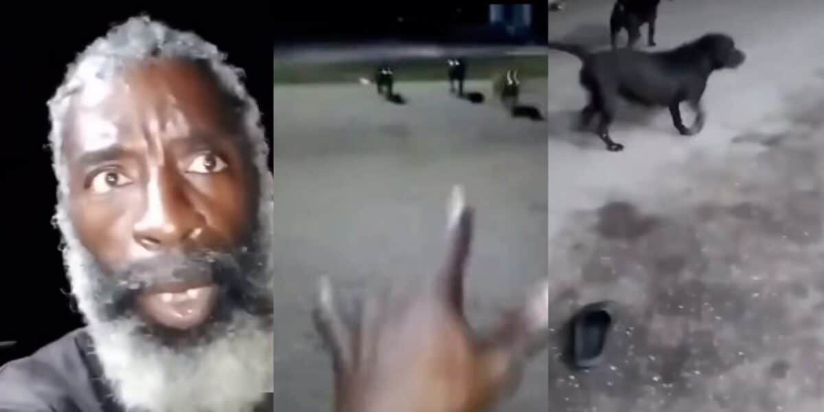 Man speaking tongues dogs