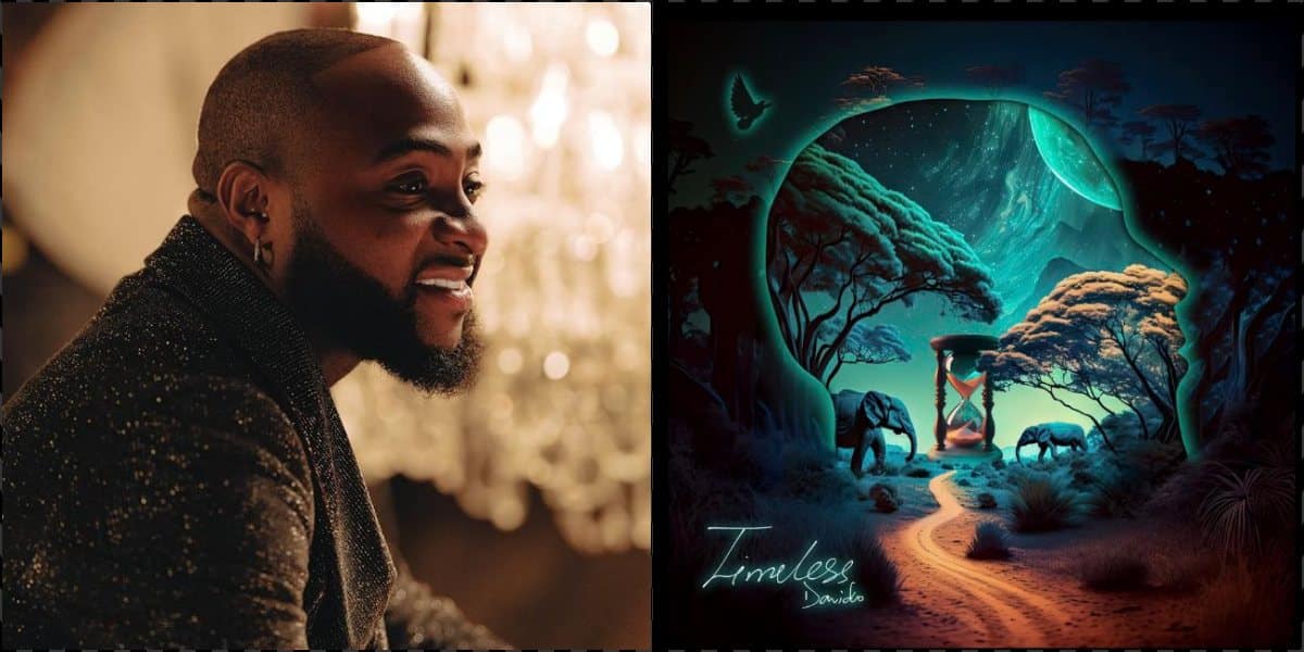 Check out al 17 Records set by Davido's 'Timeless' album