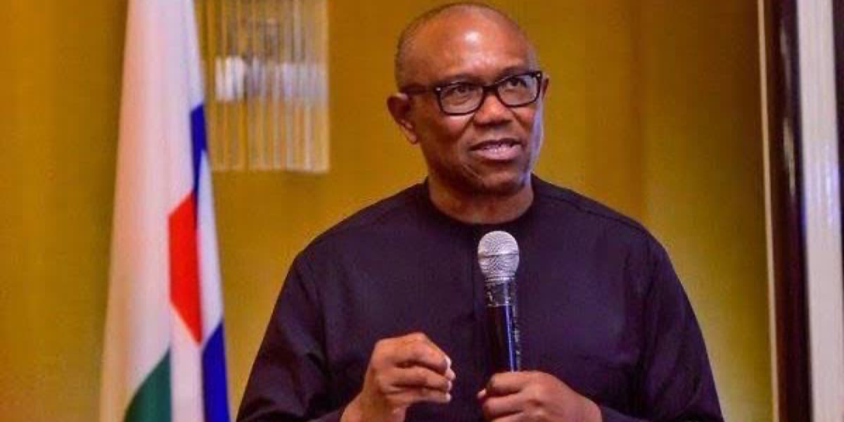 “Nigeria needs parliamentary system of government” — Peter Obi