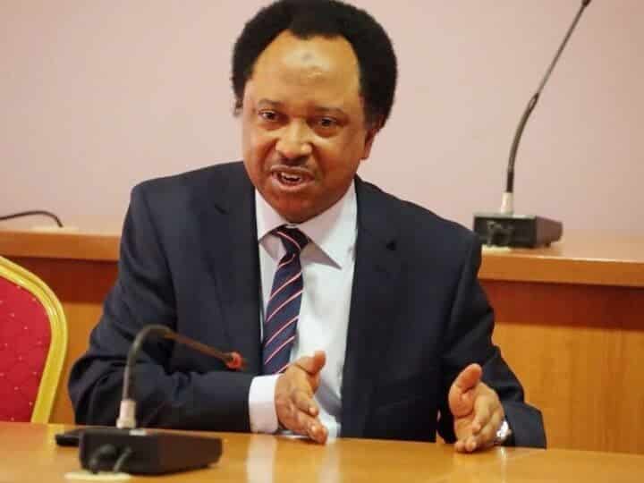 Shehu Sani charges Kaduna governor Uba Sani to probe El-Rufai over huge debt