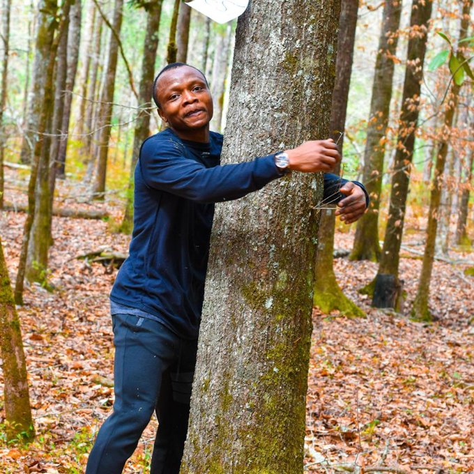 GWR: Ghanaian activist sets new world record by hugging 1,123 trees in 1 hour