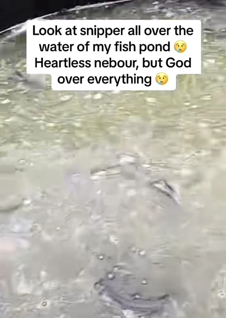 Man in pains as envious neighbor puts sniper in his catfish pond