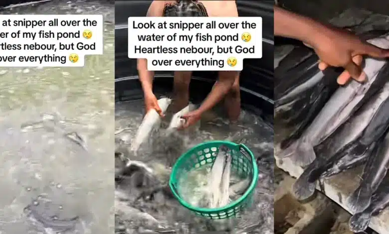 Man in pains as envious neighbor puts sniper in his catfish pond