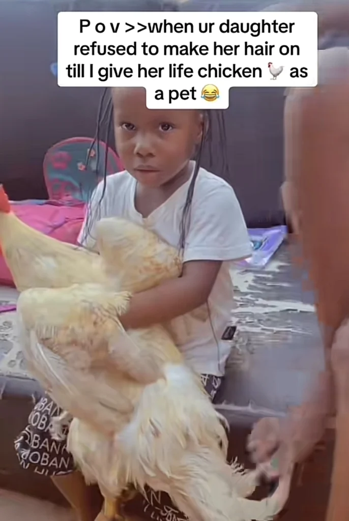 “This one na priestess” — Little girl refuses to make her hair without holding live chicken