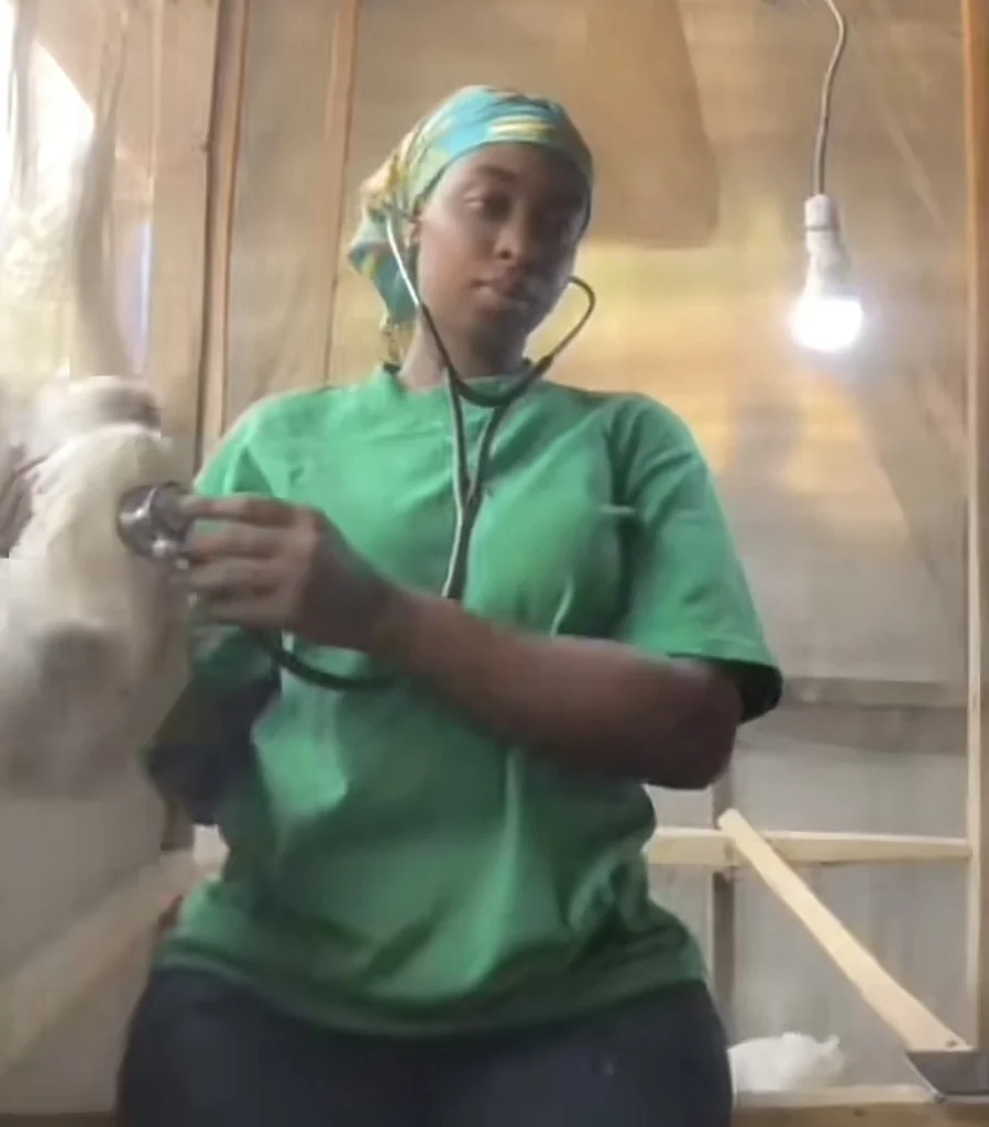 Final year student shares funny video with her project specimen