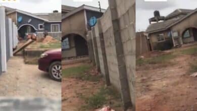 "What kind of fence is this" – Reactions as second wife's son renovates his mother's side of their house