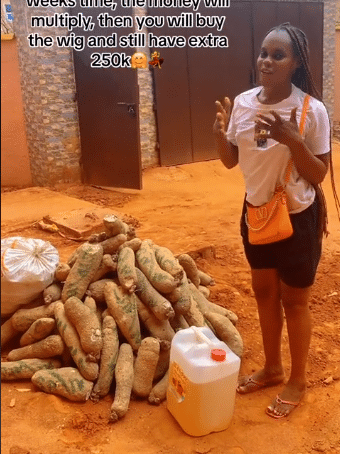 "Sharp move" - Lady uses N250K given to her for wig to buy yams yor her roadside business