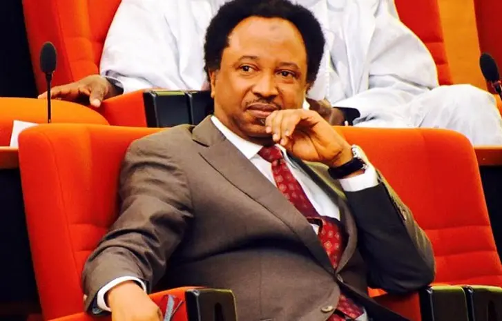 Shehu Sani shares how his friend married lady who owned wrong number his crush gave him