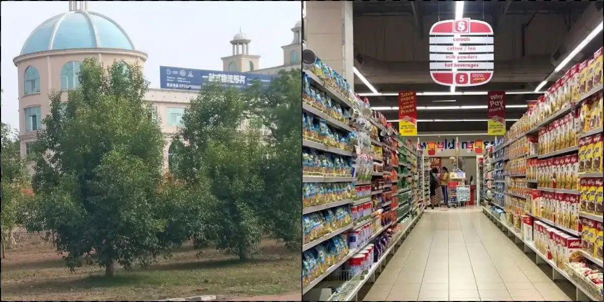 FG raids Chinese supermarket for discriminating against Nigerians