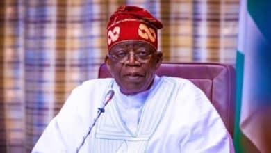 “First anniversary of Tinubu’s administration will be low key” — Minister