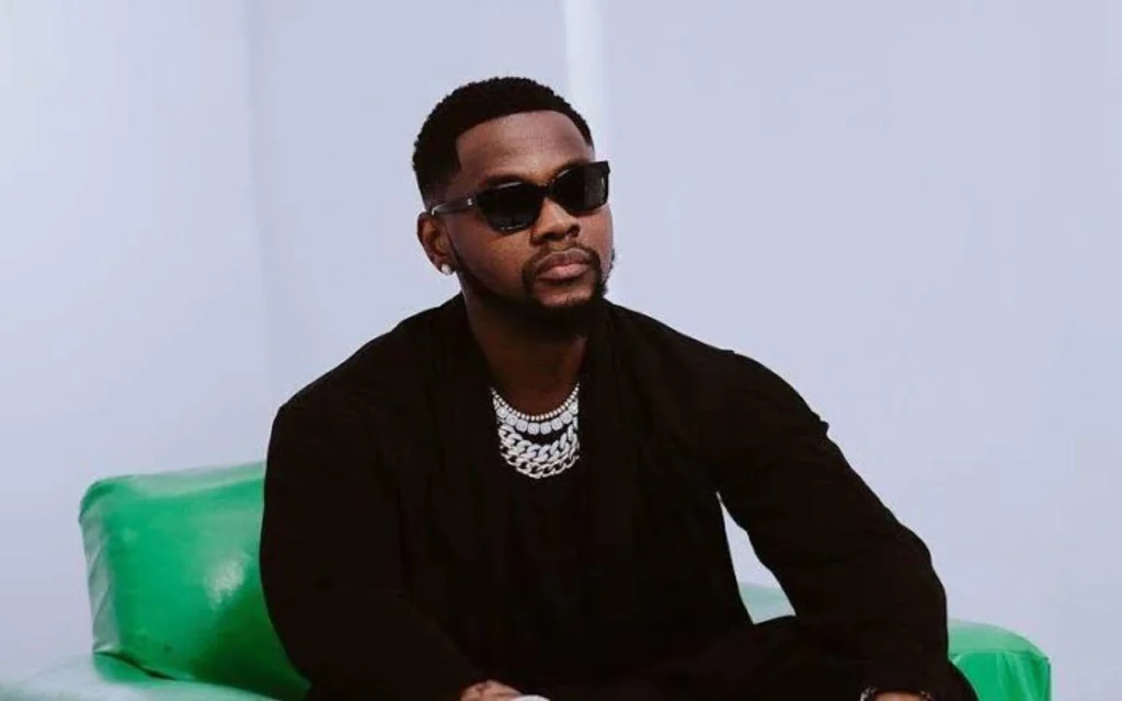 Male fan excited as Kizz Daniel picks him while performing on stage
